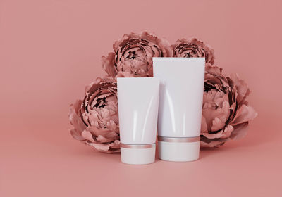 Close-up of white pink flower on table