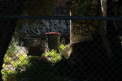 Close-up of chainlink fence