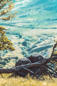 Scenic view of landscape and mountains