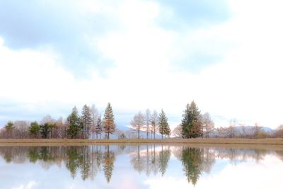 Reflection of trees in water against sky