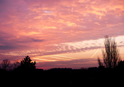 Silhouette trees against sky during sunset