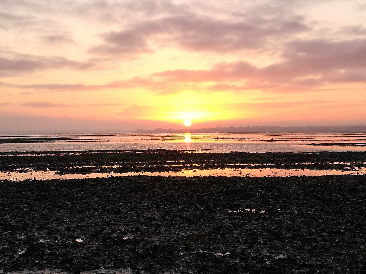 SCENIC VIEW OF BEACH DURING SUNSET