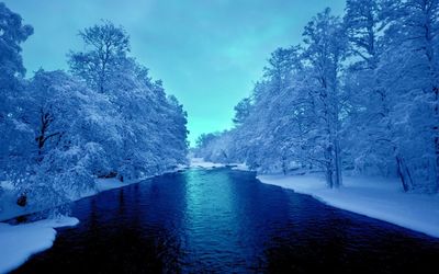 River amidst snow covered trees against blue sky