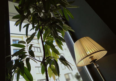 Low angle view of illuminated lamp at home