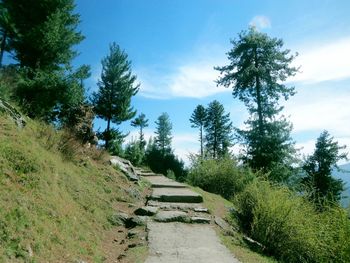 Footpath amidst trees against sky