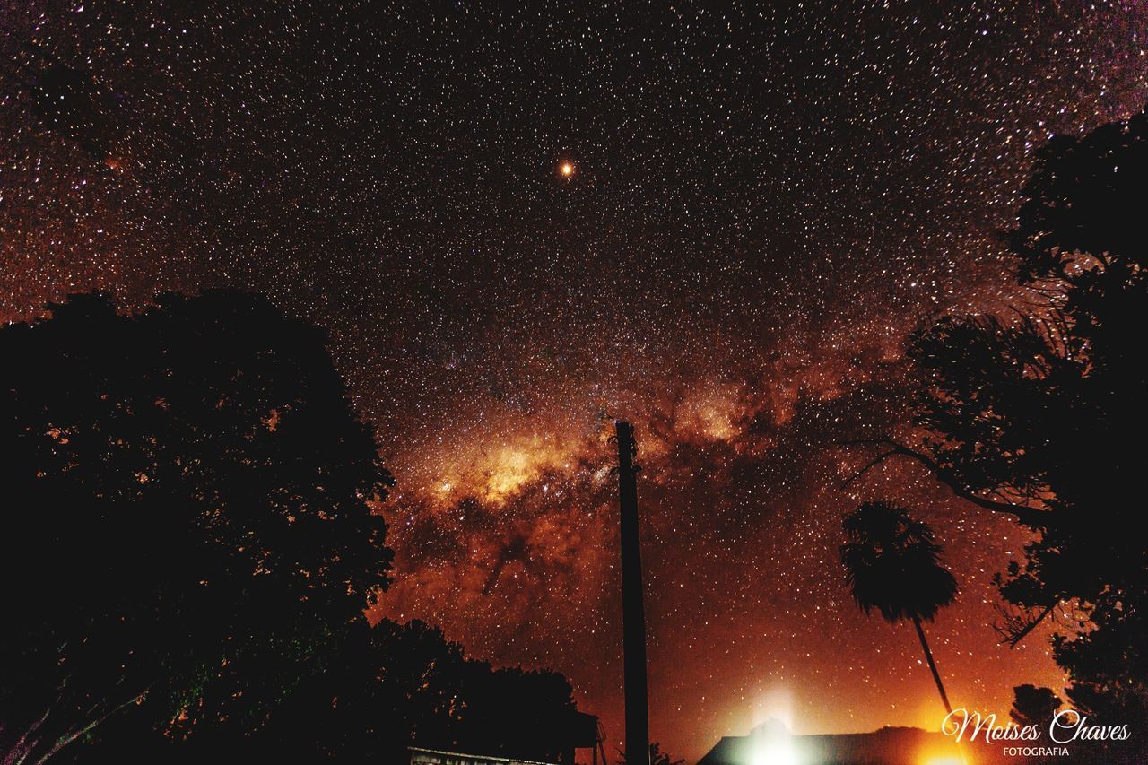 LOW ANGLE VIEW OF FIREWORK DISPLAY AT NIGHT