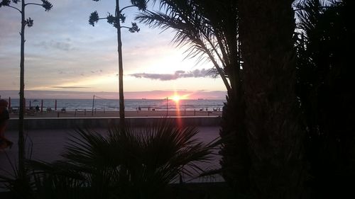 Scenic view of beach during sunset