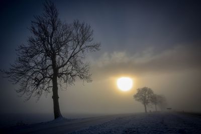 Bare trees on snow covered landscape during sunset