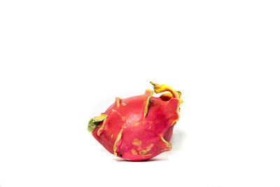 Close-up of red fruit against white background