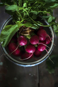 There is a bunch of delicious fresh radishes on the table