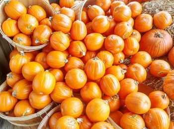 Full frame shot of oranges