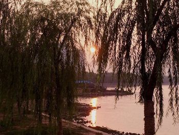 Scenic view of sunset over sea