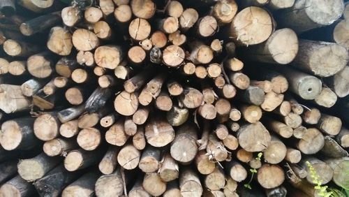 Full frame shot of logs