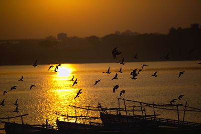 Silhouette birds flying over sea against orange sky