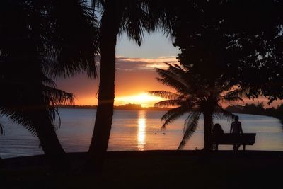 Silhouette of palm tree at beach during sunset