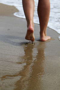 Low section of person on wet beach