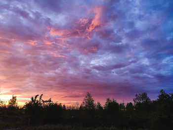 Silhouette trees on field against sky at sunset