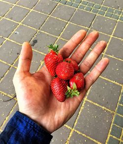 Person holding strawberries
