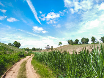 Dirt road amidst field against sky