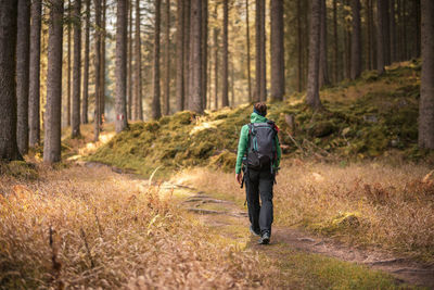 Rear view of man walking in forest