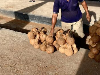 Farmer holding pile of coconuts on traditional market