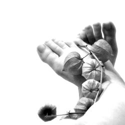 Cropped image of hand holding over white background