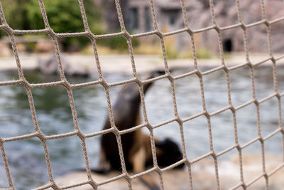 Full frame shot of soccer field seen through fence