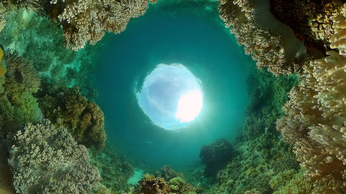 High angle view of sea