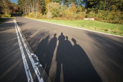 Road passing through trees