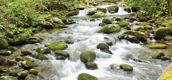 Scenic view of river flowing through rocks