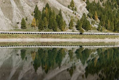 Scenic view of lake by trees