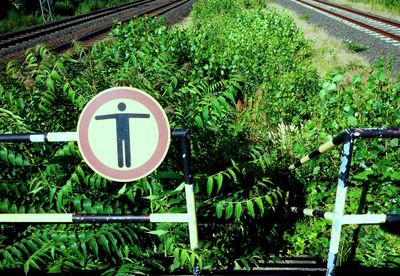 Information sign by road against plants