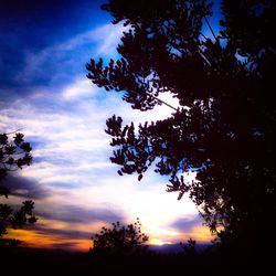 Silhouette of trees against cloudy sky