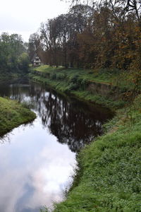 Reflection of trees in water