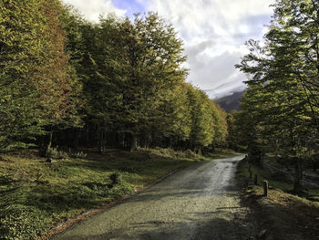 Road amidst trees in forest against sky