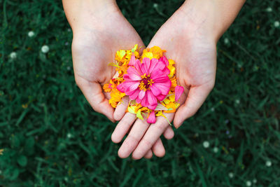 Close-up of hand holding red flower on field