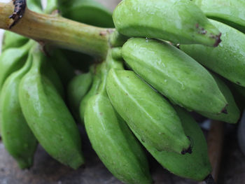 Full frame shot of vegetables