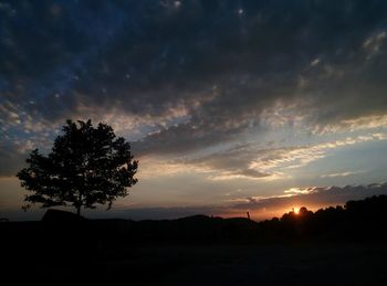 Silhouette of trees at sunset