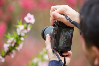 Cropped image of man photographing flowers with camera
