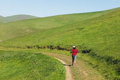 Rear view of man walking on field
