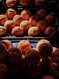 Close-up of apples for sale at market stall