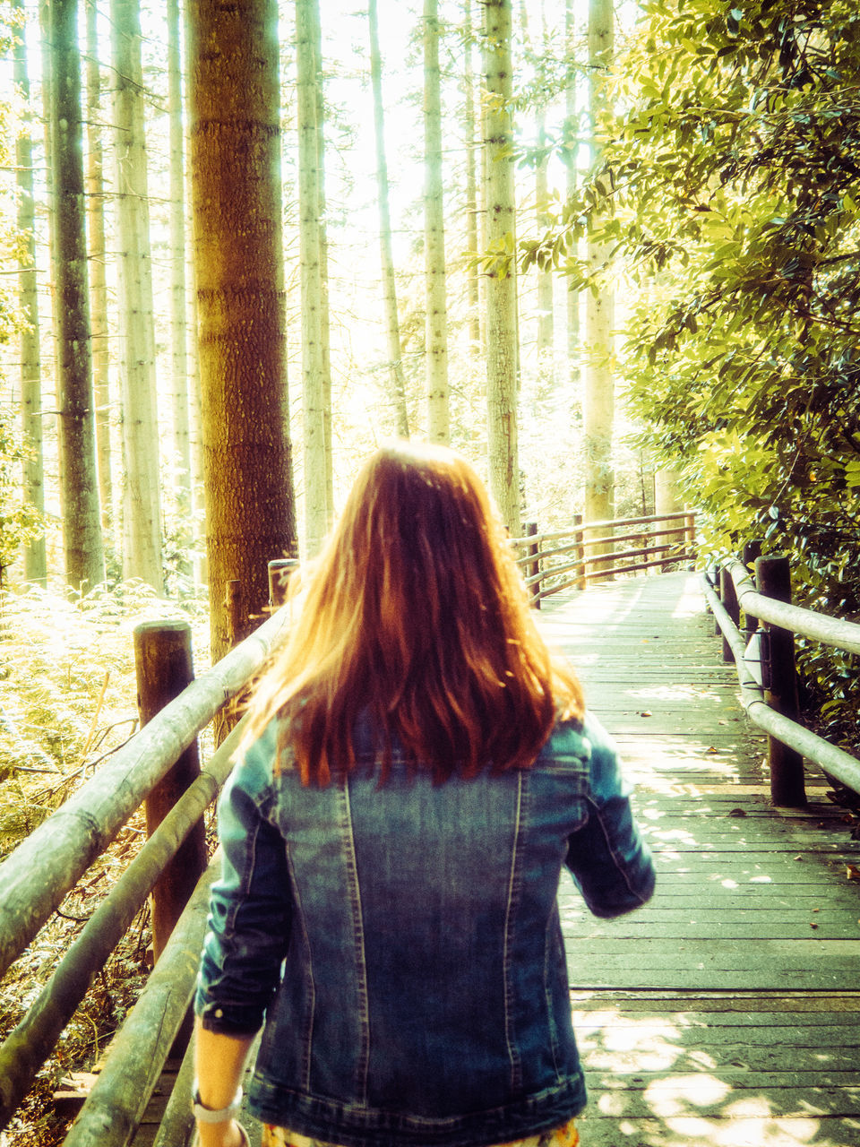 REAR VIEW OF WOMAN WITH LONG HAIR IN FOREST