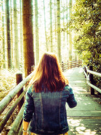 Rear view of woman in forest