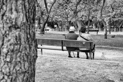 Rear view of a couple sitting on a park bench