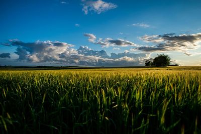 Scenic view of field against cloudy sky