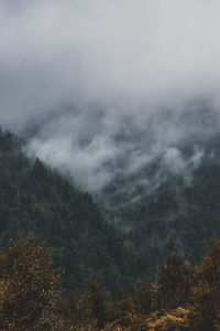 Scenic view of mountains against sky, steam rising from dark trees, autumn day in the schwarzwald, g