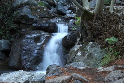 Waterfall in forest