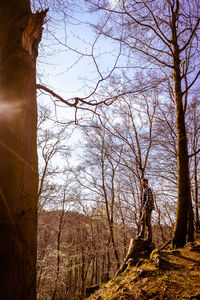 Low angle view of bare trees against sky