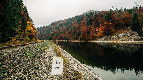 Scenic view of lake by trees against sky