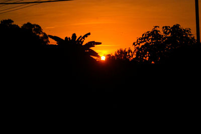 Silhouette trees against sky during sunset